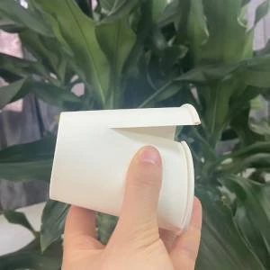 single wall 300